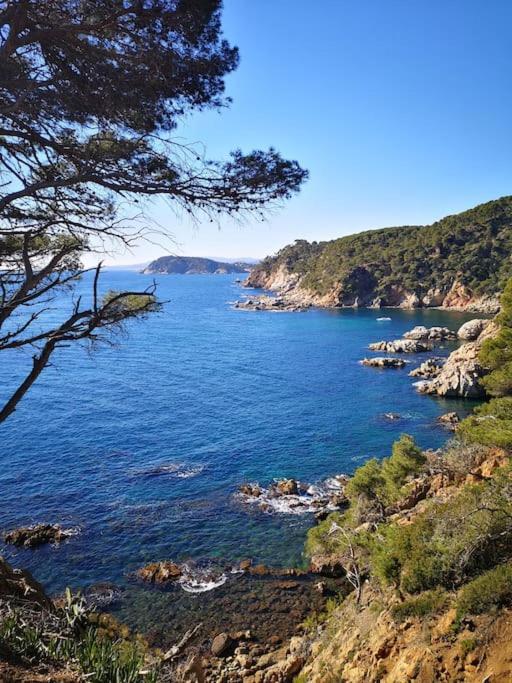 Apartamento Con Piscina L' Ancora Calella De Palafrugell Exteriör bild